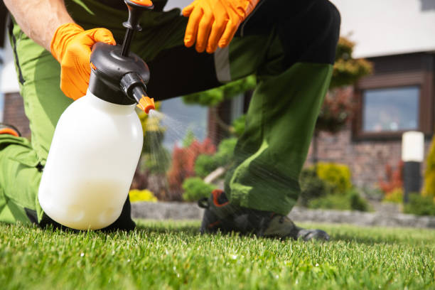 Best Rat Extermination Near Me  in Hollywood, SC