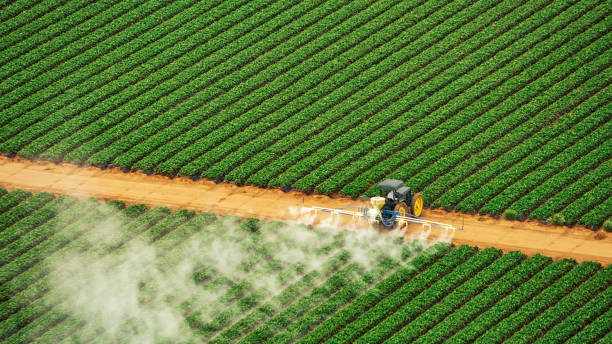 Pest Control Cost in Hollywood, SC