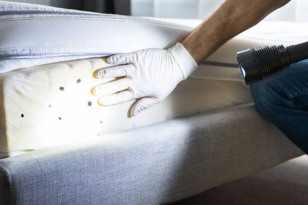 Best Residential Pest Control  in Hollywood, SC