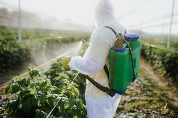 Best Commercial Pest Control Services  in Hollywood, SC